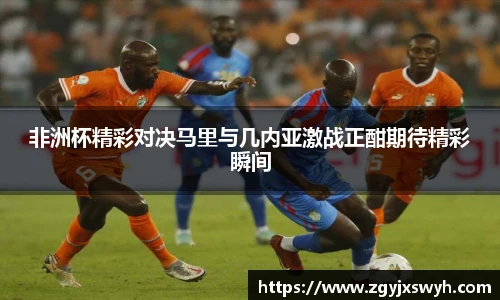 非洲杯精彩对决马里与几内亚激战正酣期待精彩瞬间